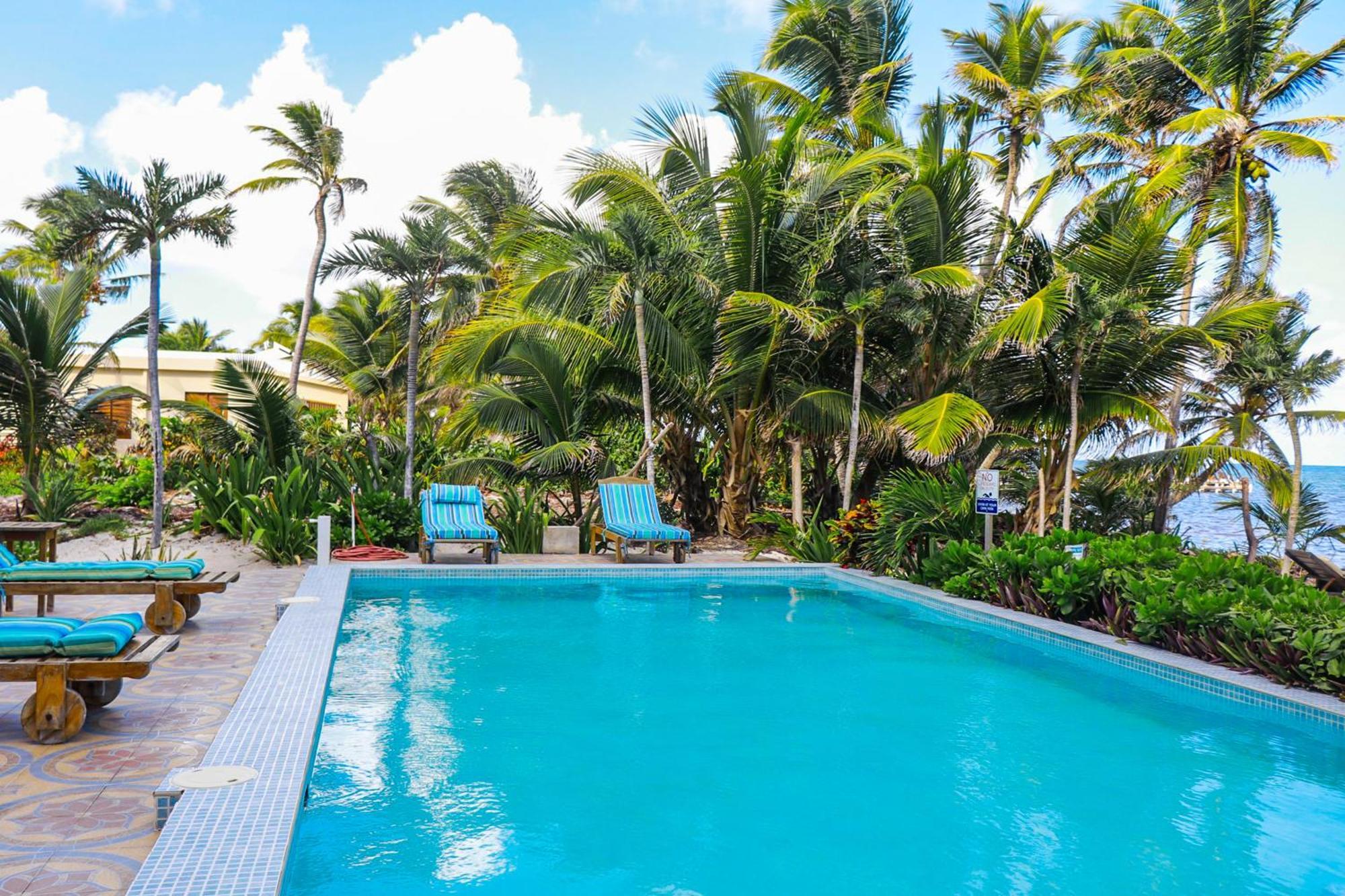 Blue Water Beach Villas ซานเปโดร ห้อง รูปภาพ